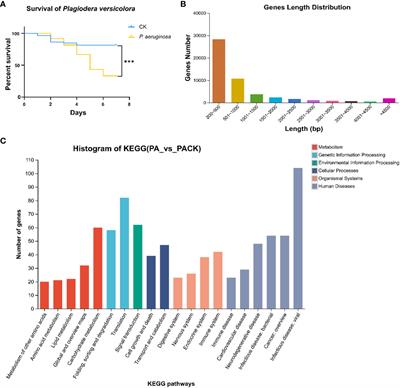 Odorant binding protein 18 increases the pathogen resistance of the imported willow leaf beetle, Plagiodera versicolora
